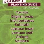 January Vegetable Planting Guide for Gardeners Here's your veggie planting guide for January!