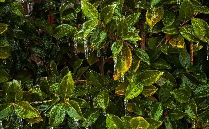 Photos from New Albany Main Street Association's post