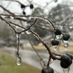 Mississippi braces for severe ice storm with power outages and dangerous cold Photos from Mississippi Emergency Management Agency's post