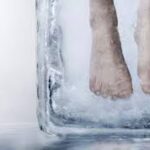 Wound Care Pro cancels clinic appointments due to winter weather Due to the inclement weather, Wound Care Pro will not be in clinic for the remainder of this week