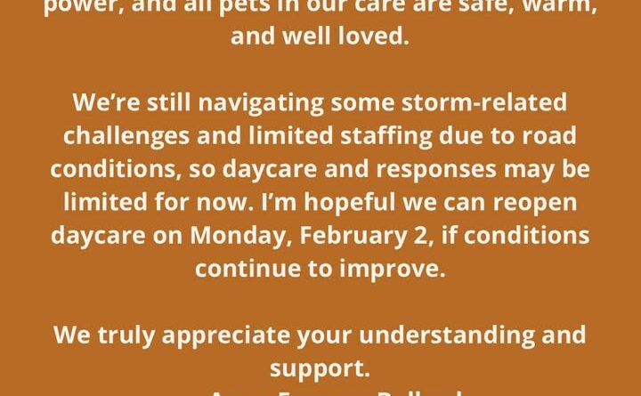 Storm may have slowed us down, but all pups are safe and loved!