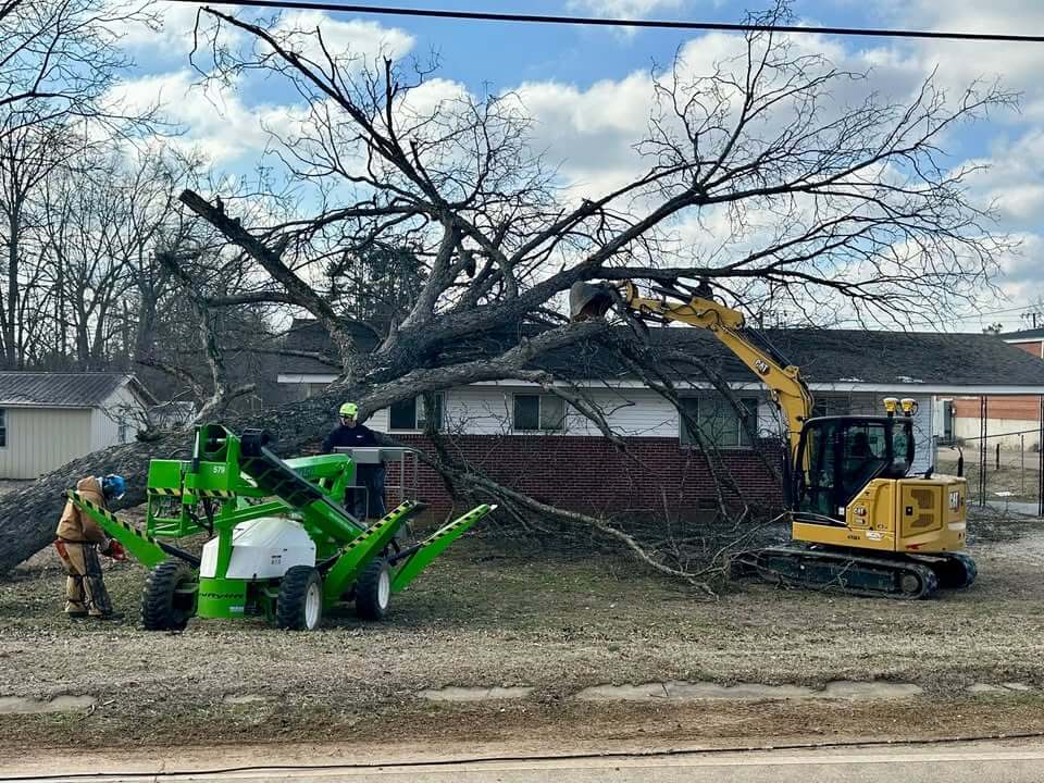 Photos from Ingomar Attendance Center's post