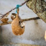 Mississippi Opens Warming Shelters Amid Cold Weather Photo by ANIl KUMAR on Pexels