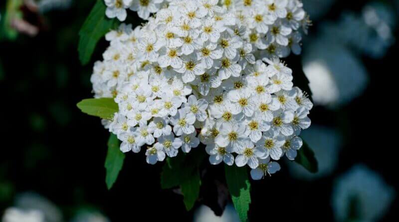 Photo by 대정 김 on Pexels