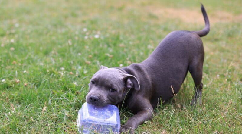 Photo by Valeria Boltneva on Pexels