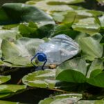 East Side Water Issue Under Investigation, Fire Department Coordinates Support Photo by Engin Akyurt on Pexels