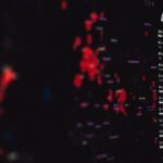 Mississippi reports four additional winter storm deaths, total now 14 Photo by Markus Spiske on Pexels