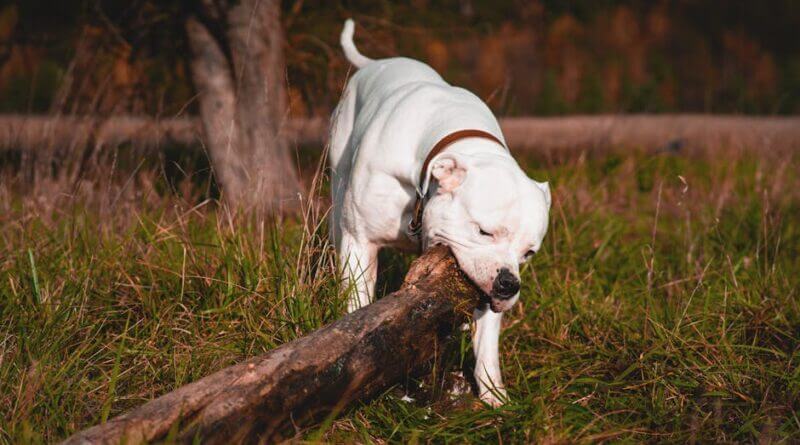 Photo by HIGHER VIBRATION on Pexels