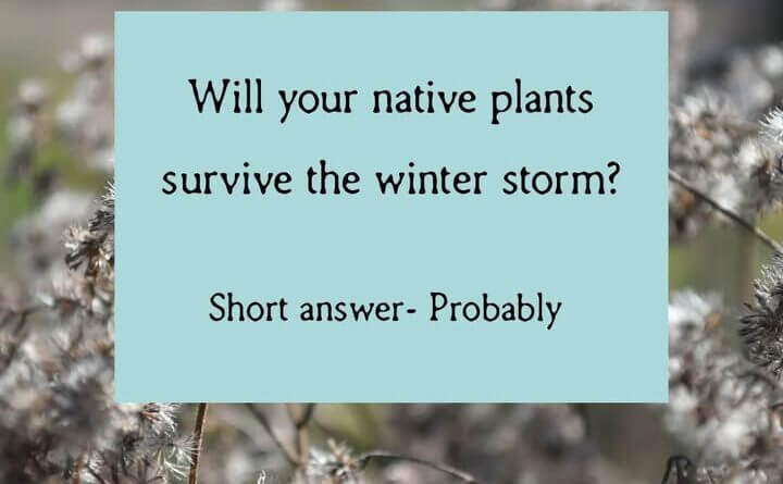 Photos from New Albany Main Street Association's post