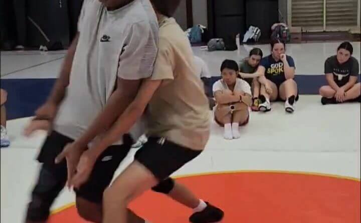 Good luck to the individuals on the NAHS wrestling team as they compete at the Individual State Cham