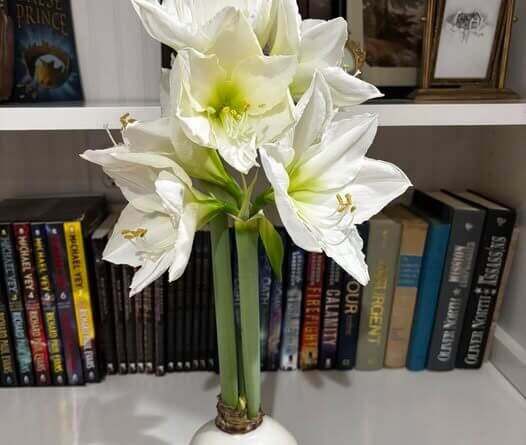 The Beauty Bar and Boutique