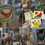 Camp Creek Native Plants Offers Bird Food Discounts for National Bird Feeding Month Camp Creek Native Plants