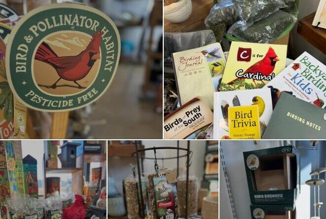 Camp Creek Native Plants