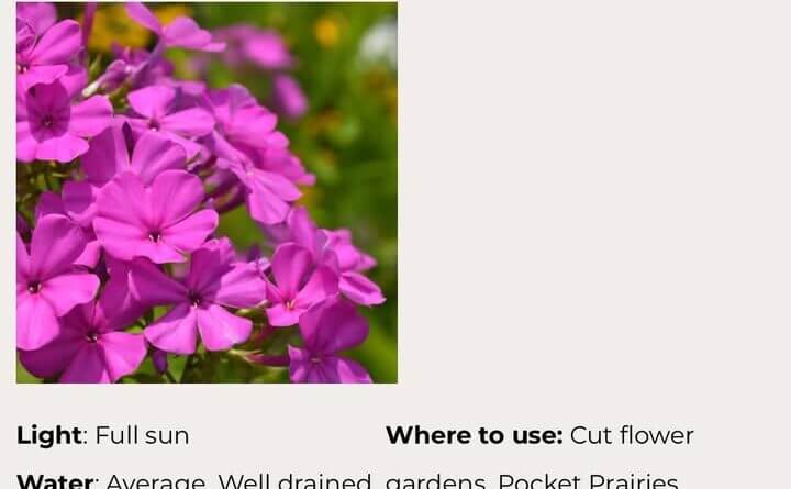 Photos from New Albany Main Street Association's post