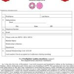 Mississippi Firefighter Ladies Auxiliary Seeks Support and Membership Please support our Mississippi Firefighter/Ladies Auxiliary