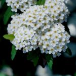 Mississippi Governor Tate Reeves issues new update on winter storm Photo by 대정 김 on Pexels