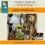 Calico Mushroom in New Albany Offers Unique Home Decor and Gifts Calico Mushroom , one of New Albany’s most charming destinations for home décor, gifts, and seasonal