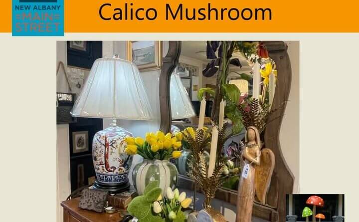 Calico Mushroom , one of New Albany’s most charming destinations for home décor, gifts, and seasonal