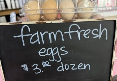 We have 5 dozen fresh eggs available today!