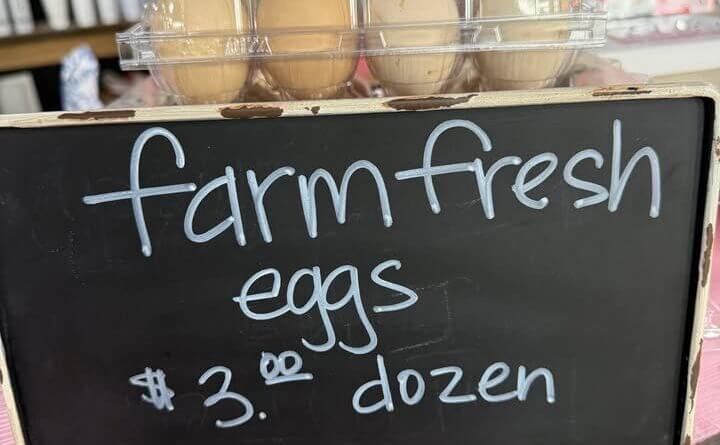 We have 5 dozen fresh eggs available today!