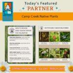 Camp Creek Native Plants Promotes Native Mississippi Flora Camp Creek Native Plants, a local grower dedicated to preserving Mississippi’s natural beauty