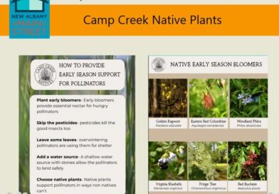 Camp Creek Native Plants, a local grower dedicated to preserving Mississippi’s natural beauty