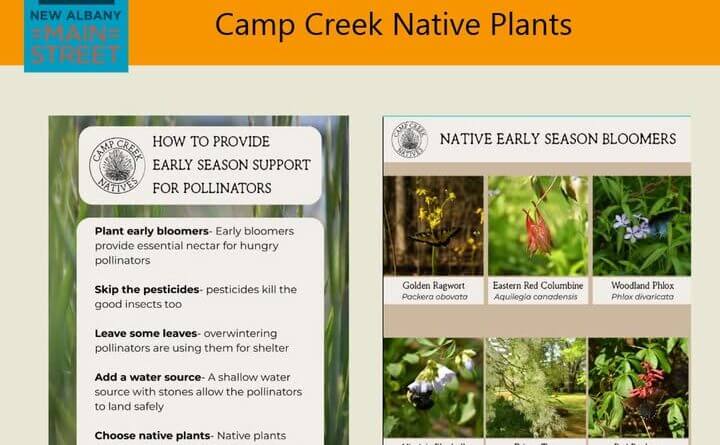 Camp Creek Native Plants, a local grower dedicated to preserving Mississippi’s natural beauty