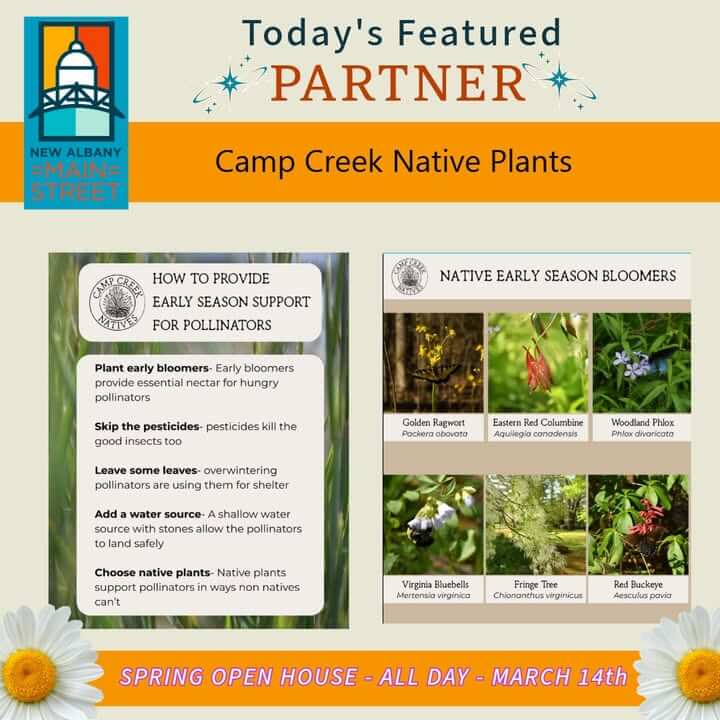 Camp Creek Native Plants, a local grower dedicated to preserving Mississippi’s natural beauty