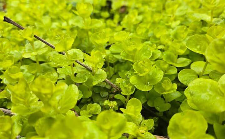 Photos from Union County Heritage Museum's post