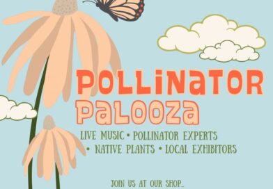 POLLINATOR PALOOZA IS BACK🐝🦋🌷