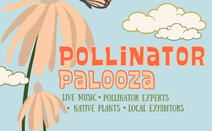 POLLINATOR PALOOZA IS BACK🐝🦋🌷