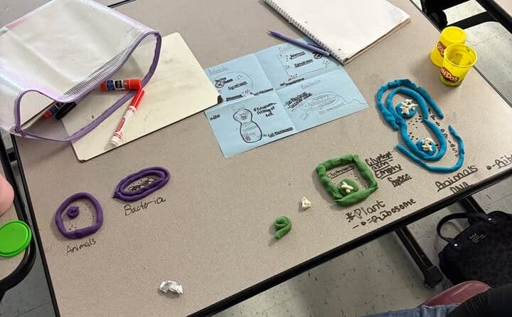 Photos from New Albany High School's post