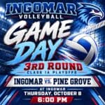 Lady Falcons face Pine Grove in Class 1A playoffs Thursday night 🏐💙 IT’S GAME DAY, FALCONS!