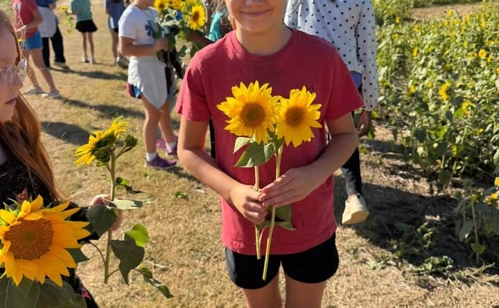 Photos from Ingomar Attendance Center's post